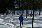 Vi måtte til og med ha på truger og det sier ikke lite i 2013, ut for å jakte mat