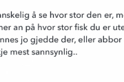 Men vi for beskjed fra ekspertene så dette går nok bra