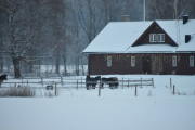 Men vi for også med og noen Hester og litt julepynt da