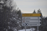 Vi skal heller ikke inn der men kommer dypere og dypere inn i skogen