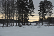 Nå begynner det å bli finvær, tenk om vi hadde funnet et dyr på dette bilde men deg gjorde vi ikke