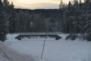 Igjen et bilde som kunne ha vært spennende men ingen dyr der i dag