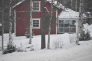 Nå skal vi ikke titte inn i vinterhagene til folk, men vi gjør et unntak