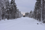 Nå er spørsmålet, hvor kommer snøskuteren ifra? Denne veien?