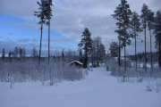 Nå begynner det å prikke i utløser fingeren min, men vi må jo se etter Elg og se oss rundt