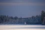Noen ganger kan du ha flaks, andre ganger ikke. Her ble det ikke