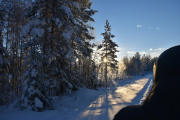 Det er bare solnedgangen som holder meg oppe nå