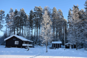 Mens vi leker eller skal vi si jakter må jeg også følge med i tretoppene