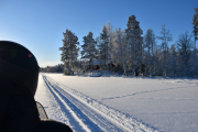 Da skal det gå mye bedre, vil ikke danse tango i dag med neglesprett