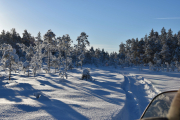 Ingen her heller, har studert bilde