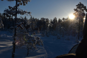Men for en flott formiddag
