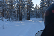 Det er fine skuterløyper her