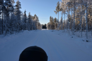 Da går ferden videre