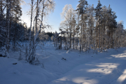 Det er akkurat på slike steder det kan stå et dyr