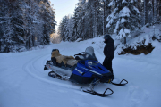 Ja Rune, skal du skremme vettet av meg og kjøre nedover eller skal vi finne en annen vei?