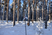 Nå kommer vi til et nytt sted