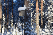 Noen fuglekasser er det rundt her også