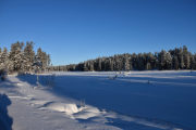 Nå har vi kommet fram til sjøen igjen
