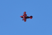 Flydagen Hamar LN-AHN