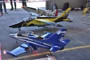 Flydagen Hamar L-39 Albatros