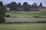 Tidlig lørdags morgen, min datter skal gifte seg i dag. Talen surrer i hodet men først en pippip tur