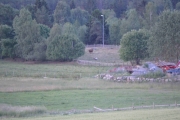 Lenger nede er det to kuer som koser seg i gresset