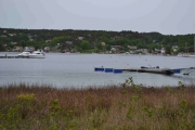 Hankø