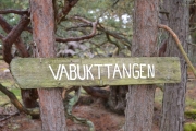 Skal jeg gå i den retningen?