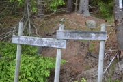 Hvilken vei går vi nå?