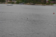 Hva har vi her?