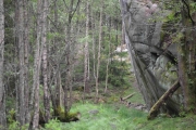 Søndags morgen men det regnet, men klatrefjellet måtte jeg ta bilde av