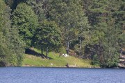 Noen har ordnet seg med sitteplasser