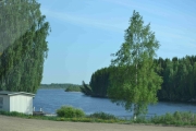Men litt høyere opp ser vi at trær bikker over fordi vannføringen i Glomma er så høy