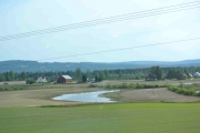Det danner seg noen små dammer når vannføringen er så høy og det er det noen fugler som utnytter