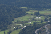 Er helt sikker på at det er en Elg i dette bilde, ellers så er det en golfbane