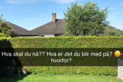 Det mangler ikke på lykkeønskninger fra familien min, de bare forstår meg ikke.