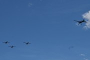 Det som er så fasinerende og se på, er at dem kan ikke fly i en hastighet på mer enn 100 km/t akkurat her
