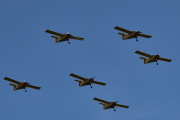 6 Yellow Sparrows. Jeg er absolutt fornøyd med disse seks, men det hadde vært helt fantastisk med 16 Yellow Sparrows i et bilde