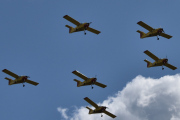 6 Yellow Sparrows. Bardufoss ligger Nord i landet, mulig jeg må ta meg en tur ditt, jeg kjenner noen der oppe