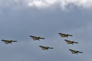 Her kommer dem en gang til, vi tåler det? Flyene er utstyrt med en 200 hk. Avco Lycoming  motor som gir flyene en maks hastighet på rundt 360 km/t
