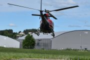 Helitrans med minst to måker, alt det andre er løv som blir virvlet opp