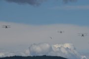 Og nå har vi alle tre Tiger Moth i luften, og måken er med enda