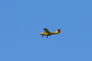 Jeg har lest at det skal komme noen Yellow Sparrows fra Bardufoss, kanskje dette er en av dem?