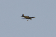 DSC_0278_01