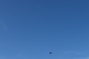 Hva med Tiger Moth og månen?