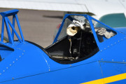 LN-BIF