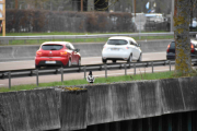 Her kommer det en ypperlig anledning, Stokkand og en Renault