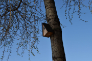 Men dette ser spennende ut, her må jeg stå og observere litt