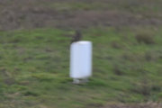 Ikke sant! Du kan glemme å få skarpe bilder når du er i ferd med å lande i et fly