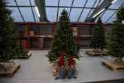 Som her, de skal selge kunstige juletrær, hvorfor ikke putte et par nisser foran? Men dette blir ikke vår avdeling, vi skal ha et ekte